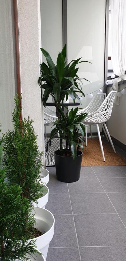 Bit Eccentric With The Balcony Apartament *